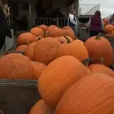 Uncle John's Cider Mill photo