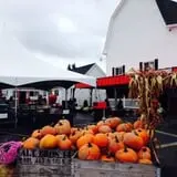 Uncle John's Cider Mill photo