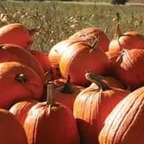 Uncle John's Cider Mill photo