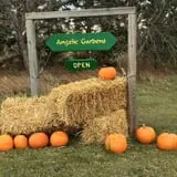 Angelic Gardens Fall Kick Off photo