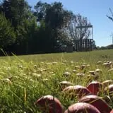 Angelic Gardens Fall Kick Off photo