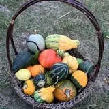 Angelic Gardens Fall Kick Off photo