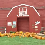 P Bar Farms Corn Maze photo