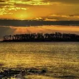 Charles Island photo