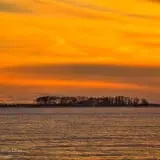 Charles Island photo