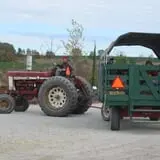 Ebert's Greenhouse Village photo