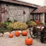 Ebert's Greenhouse Village photo