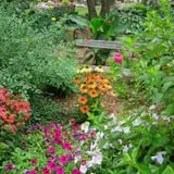 Ebert's Greenhouse Village photo