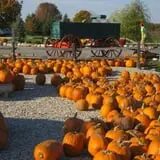 Ebert's Greenhouse Village photo