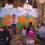 Ebert's Greenhouse Village photo