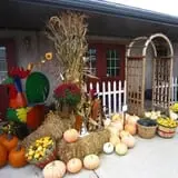 Ebert's Greenhouse Village photo