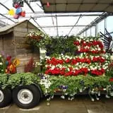 Ebert's Greenhouse Village photo