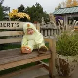 Ebert's Greenhouse Village photo