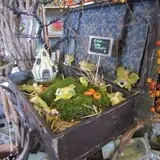 Ebert's Greenhouse Village photo
