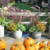 Ebert's Greenhouse Village photo