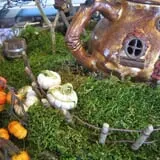 Ebert's Greenhouse Village photo