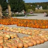 Ebert's Greenhouse Village photo