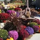 Ebert's Greenhouse Village photo