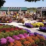 Ebert's Greenhouse Village photo