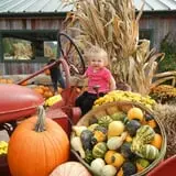Ebert's Greenhouse Village photo