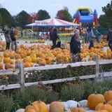 Ebert's Greenhouse Village photo