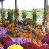 Ebert's Greenhouse Village photo