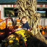 Ebert's Greenhouse Village photo