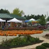 Ebert's Greenhouse Village photo