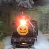 Triangle's Train: New Hope Valley Railway photo
