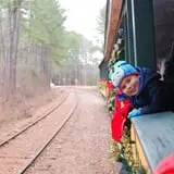 Triangle's Train: New Hope Valley Railway photo