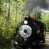 Triangle's Train: New Hope Valley Railway photo