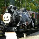 Triangle's Train: New Hope Valley Railway photo