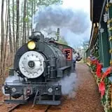 Triangle's Train: New Hope Valley Railway photo