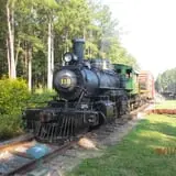 Triangle's Train: New Hope Valley Railway photo