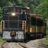 Triangle's Train: New Hope Valley Railway photo