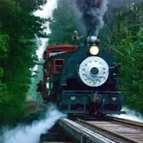 Triangle's Train: New Hope Valley Railway photo