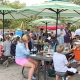 Triangle's Train: New Hope Valley Railway photo
