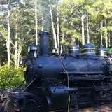 Triangle's Train: New Hope Valley Railway photo