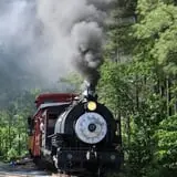 Triangle's Train: New Hope Valley Railway photo