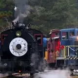 Triangle's Train: New Hope Valley Railway photo