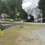 Triangle's Train: New Hope Valley Railway photo