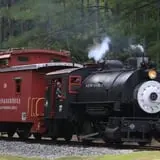 Triangle's Train: New Hope Valley Railway photo