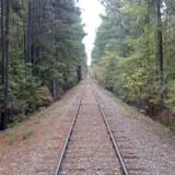 Triangle's Train: New Hope Valley Railway photo