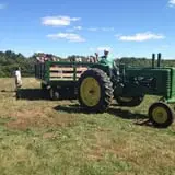 Steere Orchard photo