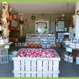 Steere Orchard photo