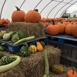 Steere Orchard photo