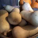 Steere Orchard photo