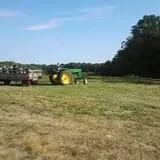 Steere Orchard photo
