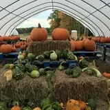 Steere Orchard photo