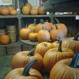 Steere Orchard photo